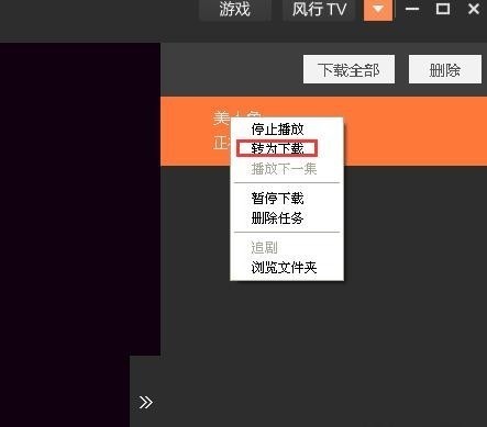 风行播放器官方下载电脑版最新版本